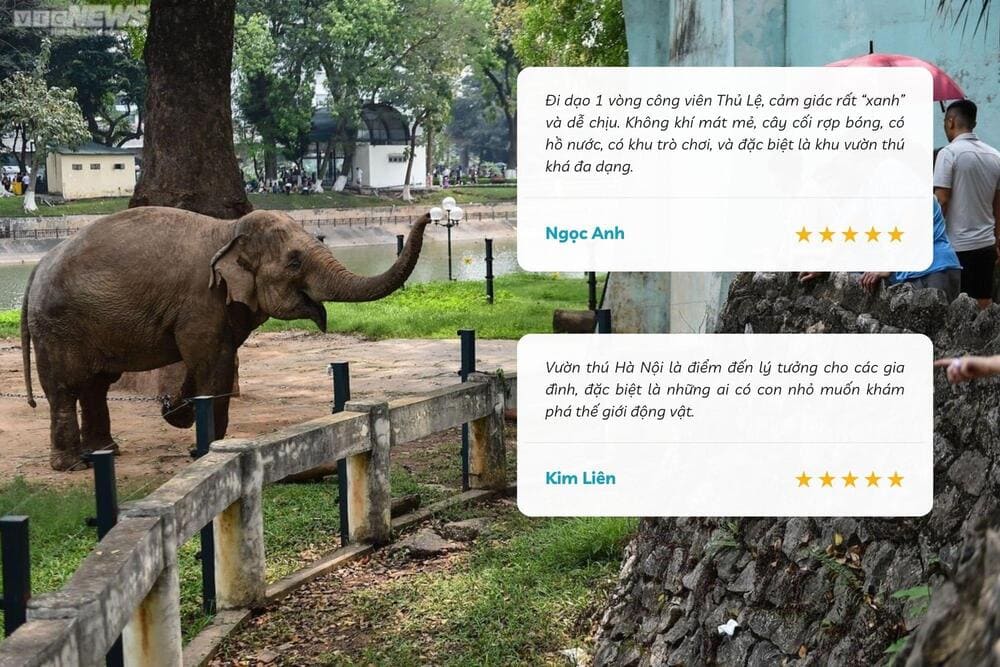 Khu vui chơi thiên nhiên kết hợp sở thú, không gian rộng lớn cho bé khám phá (Nguồn: Internet).